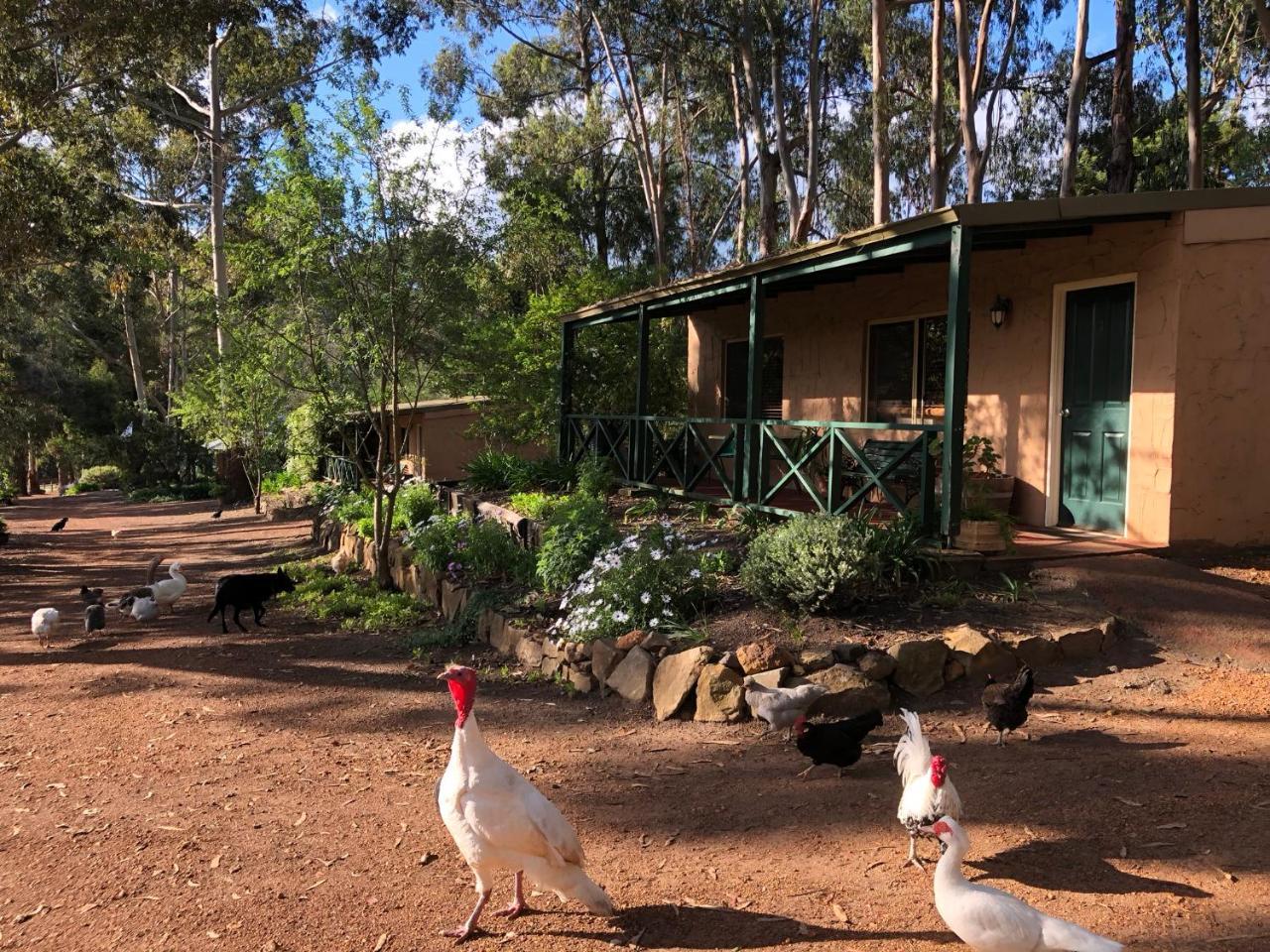 Country Cottages Of Bridgetown Bagian luar foto